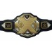 WWE NXT Wrestling Championship Leather Belt