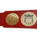 WWE United States Tag Team Champioship Wrestling Leather Belt